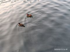 -西湖天地