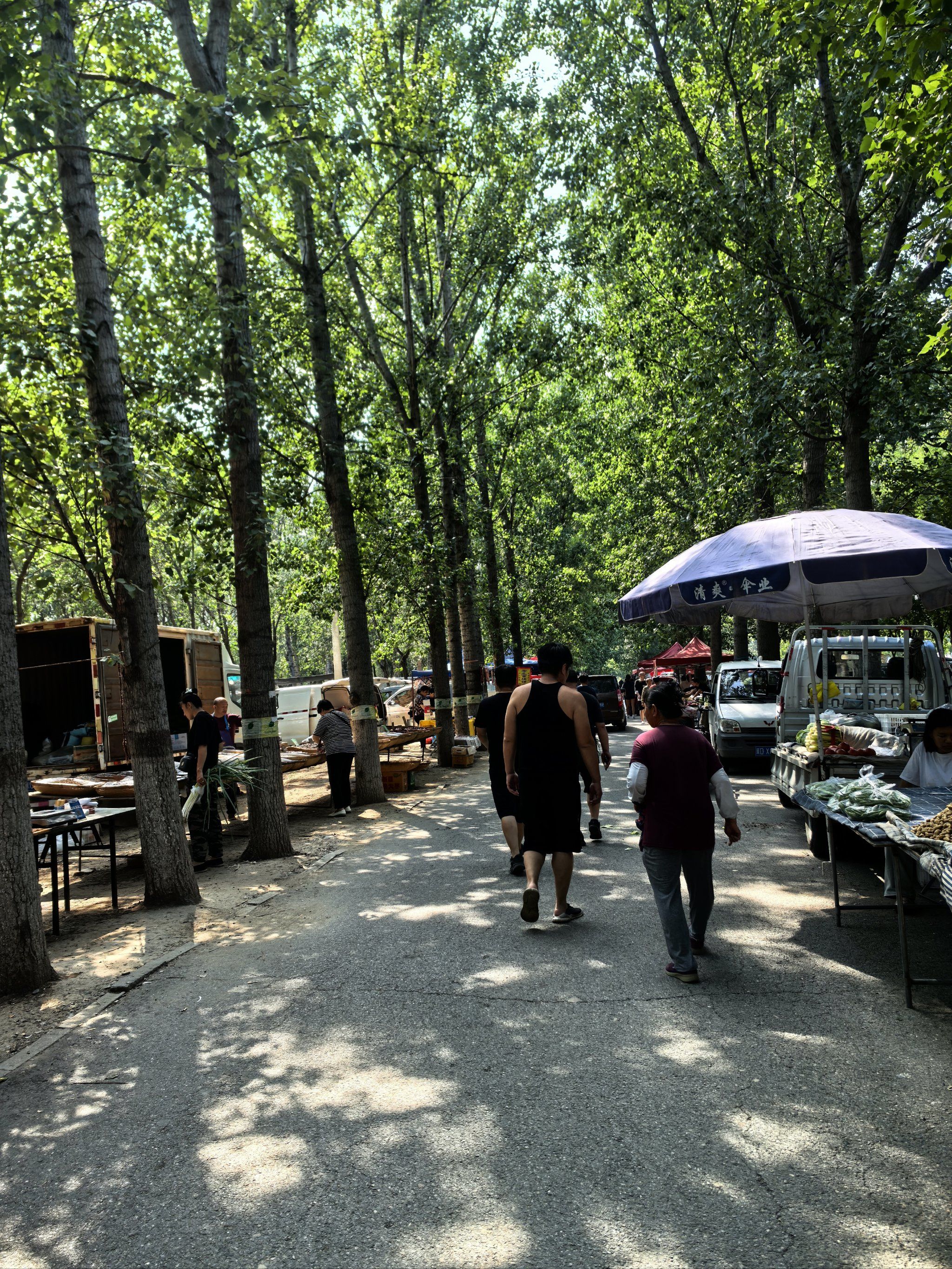 大兴魏善庄大狼垡大集,每周一三六下午两点