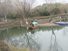 -青枫公园