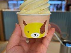 -dodonpa.墩墩伐 便当食堂(博华广场店)