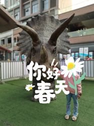 -恐龙探索乐园(磁器口店)