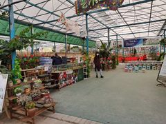 -麻涌飞鸭开心农场
