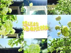 -荆川公园