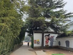 -西苑公园