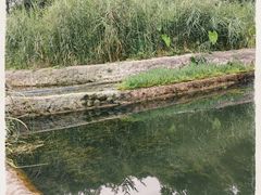 -成都市活水公园