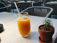 -Mammamia意大利餐厅(阳春巷店)