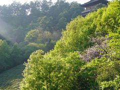 -敬亭山风景名胜区