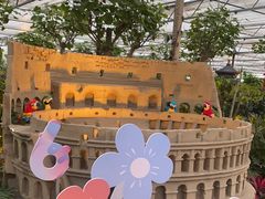 -南宫五洲植物乐园