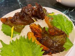 -甄御•海鲜新青岛菜(麦岛店)