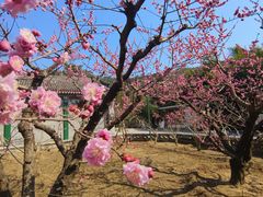 -红螺寺