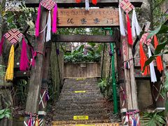 -西双版纳原始森林公园