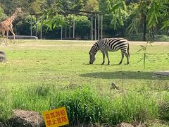 -宁波野生动物园