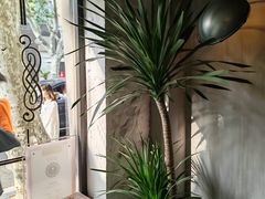 -Apollo·西班牙小酒馆(安福路店)