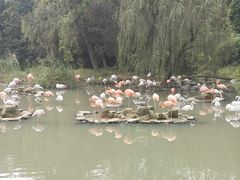 -宁波野生动物园