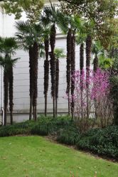 -虹桥迎宾馆·宴会厅