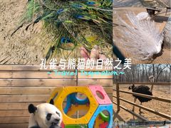 -秦皇岛野生动物园