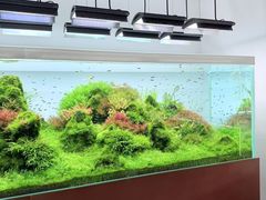 -ADA自然水景世界