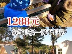 -安德鲁户外烧烤帐篷营地(马泉营店)