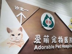 -美联众合宠物医院·爱萌分院·内外科·猫科中心