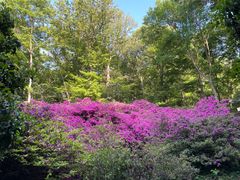-南山风景名胜区