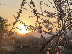 -滨河世纪广场公园