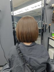 -藤野造型
