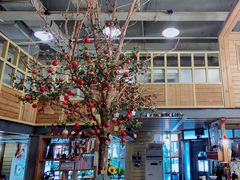 -Cafe Alice咖啡爱丽丝(奥城店)