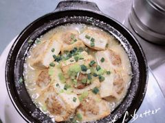 -猫咪博物馆(顶澳仔猫街店)