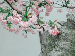 -南京市民俗博物馆(甘熙宅第)