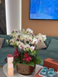 -雅曼妮spa美容养生