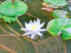 -南山风景名胜区