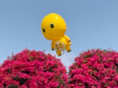 -东莞植物园