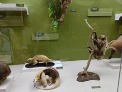 -国家自然博物馆