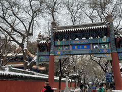 -北京国子监胡同