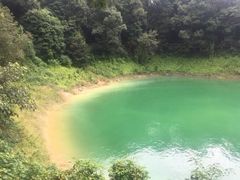 -广州市流溪河国家森林公园