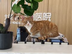 -北京恒爱动物医院(清景园分院)