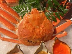 -Mr.Fish鱼鲜生海鲜放题(高德置地冬广场店)