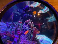 -沈阳海洋探索中心