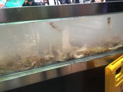 -盒马鲜生(莱蒙都会店)