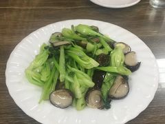 -林之六八·6886大连老菜馆