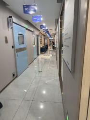-碧莲盛不剃发植发