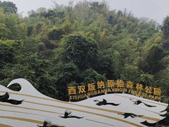 -西双版纳原始森林公园
