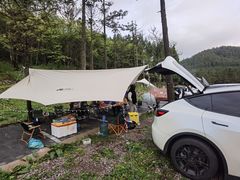 -武陵山森林公园