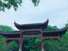 -杭州半山国家森林公园