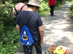 -青龙山国家森林公园