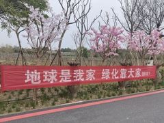 -武汉紫薇都市田园