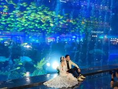 -成都浩海立方海洋公园