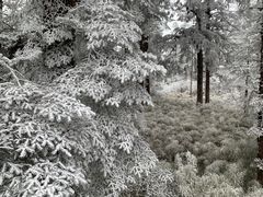 -瓦屋山景区
