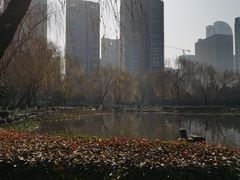 -木塔寺遗址生态公园