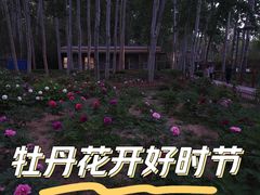 -仁和公园(顺义区)
